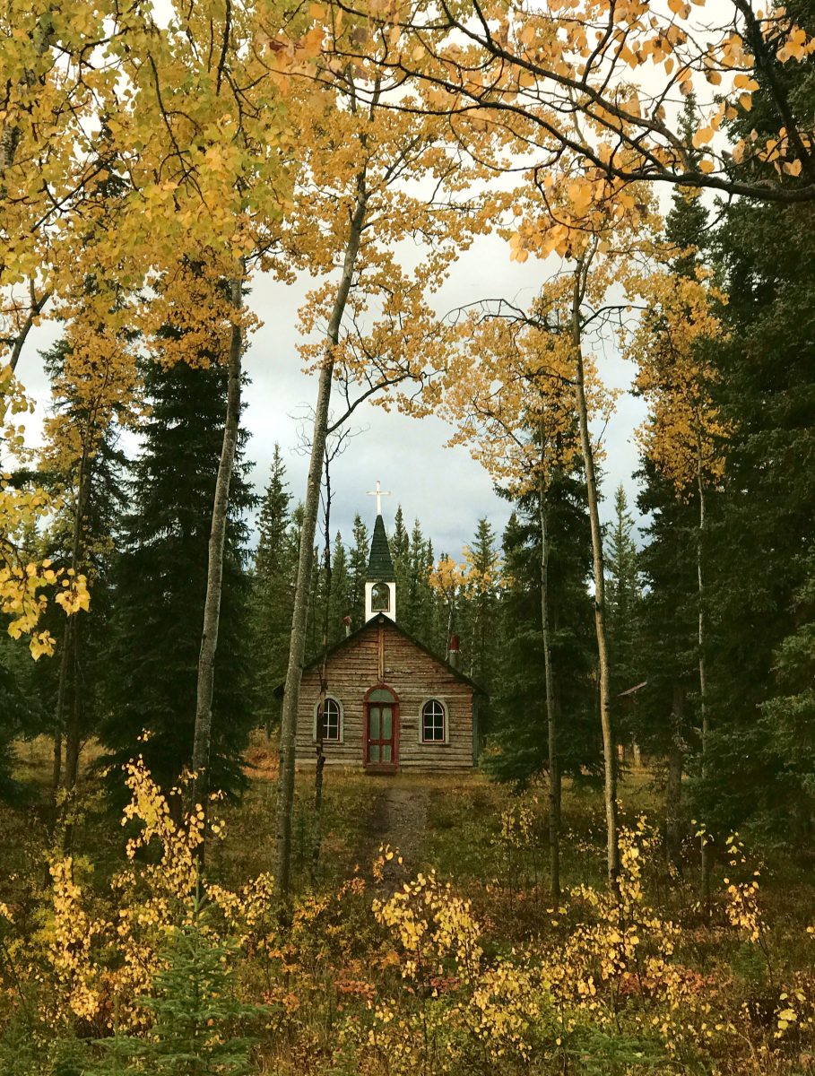 yukon-autumn-cabin-in-forest