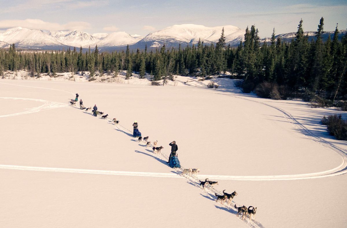 yukon-dog-sledding-aerial-snow-trail