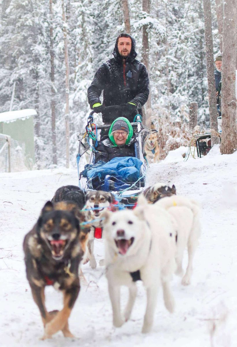 yukon-dog-sledding-family-tour