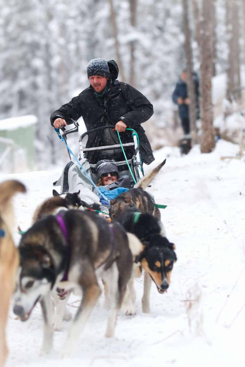 yukon-dog-sledding-forest-tour