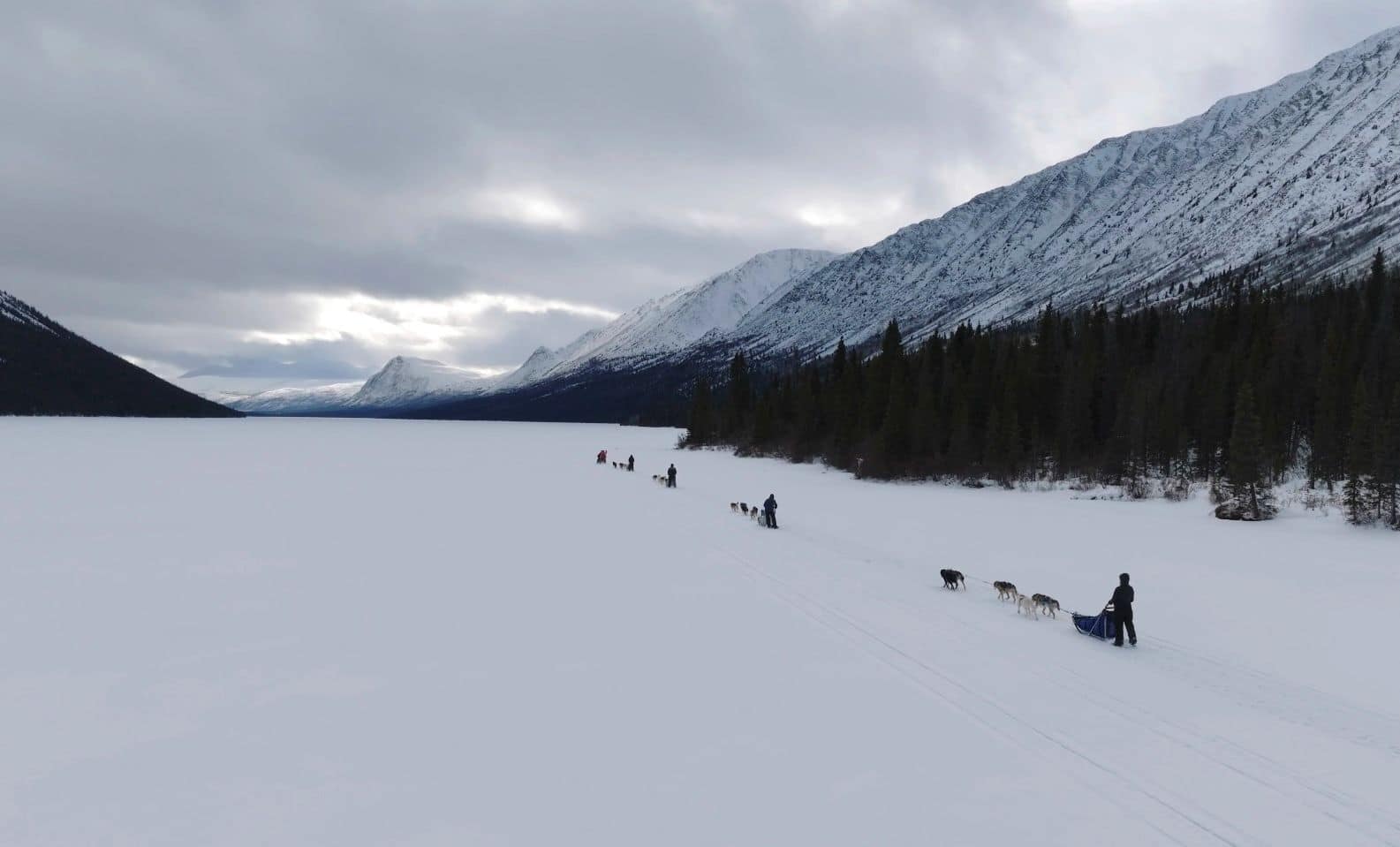 Jojo Lake and the High Alpine Wilderness