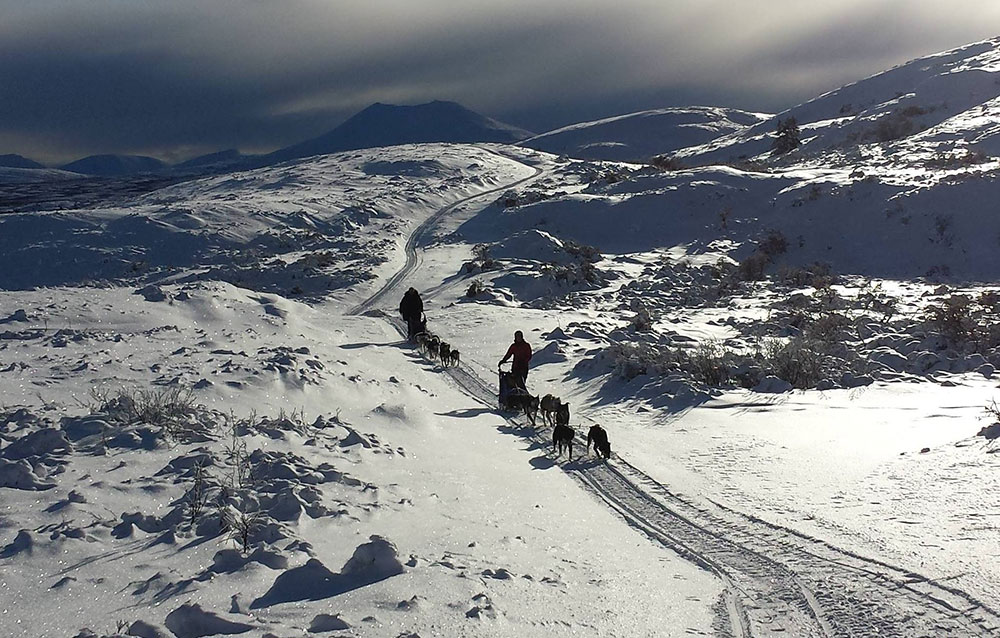 yukon-dog-sledding-mountain-trail-silhouette