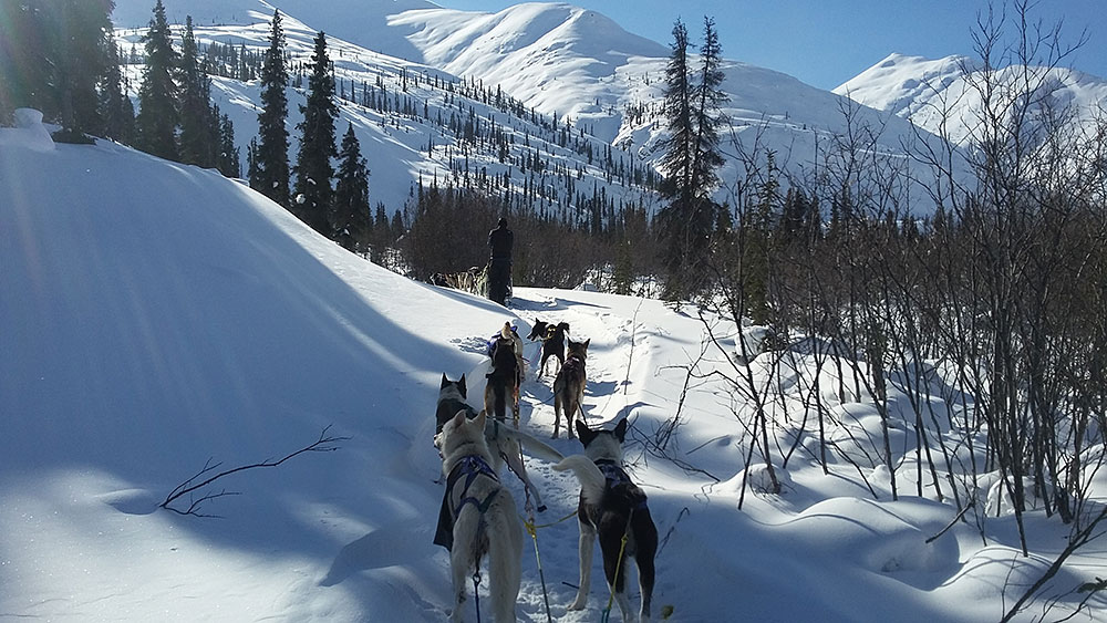 Travel and live in the alpine