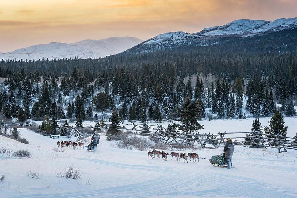 yukon-dog-sledding-team-wide-landscape
