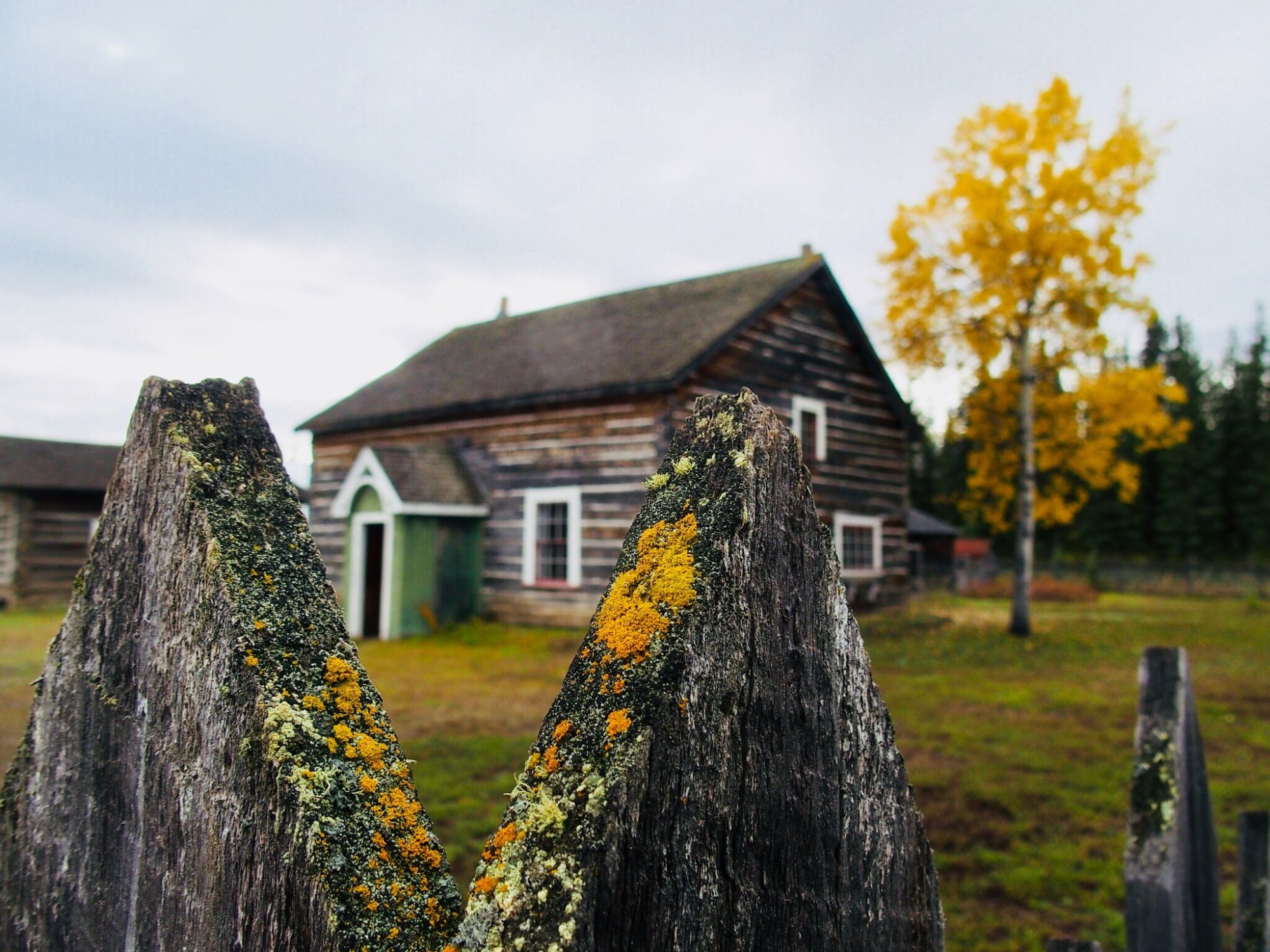 Explore the historic Fort Selkirk