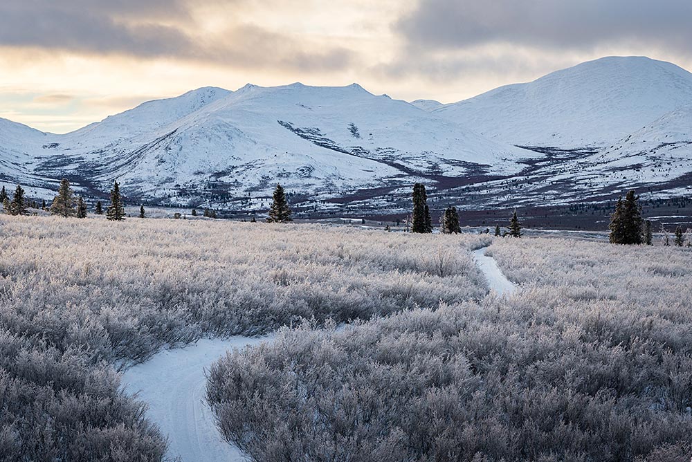 yukon-frosted-tundra-mountain-landscape