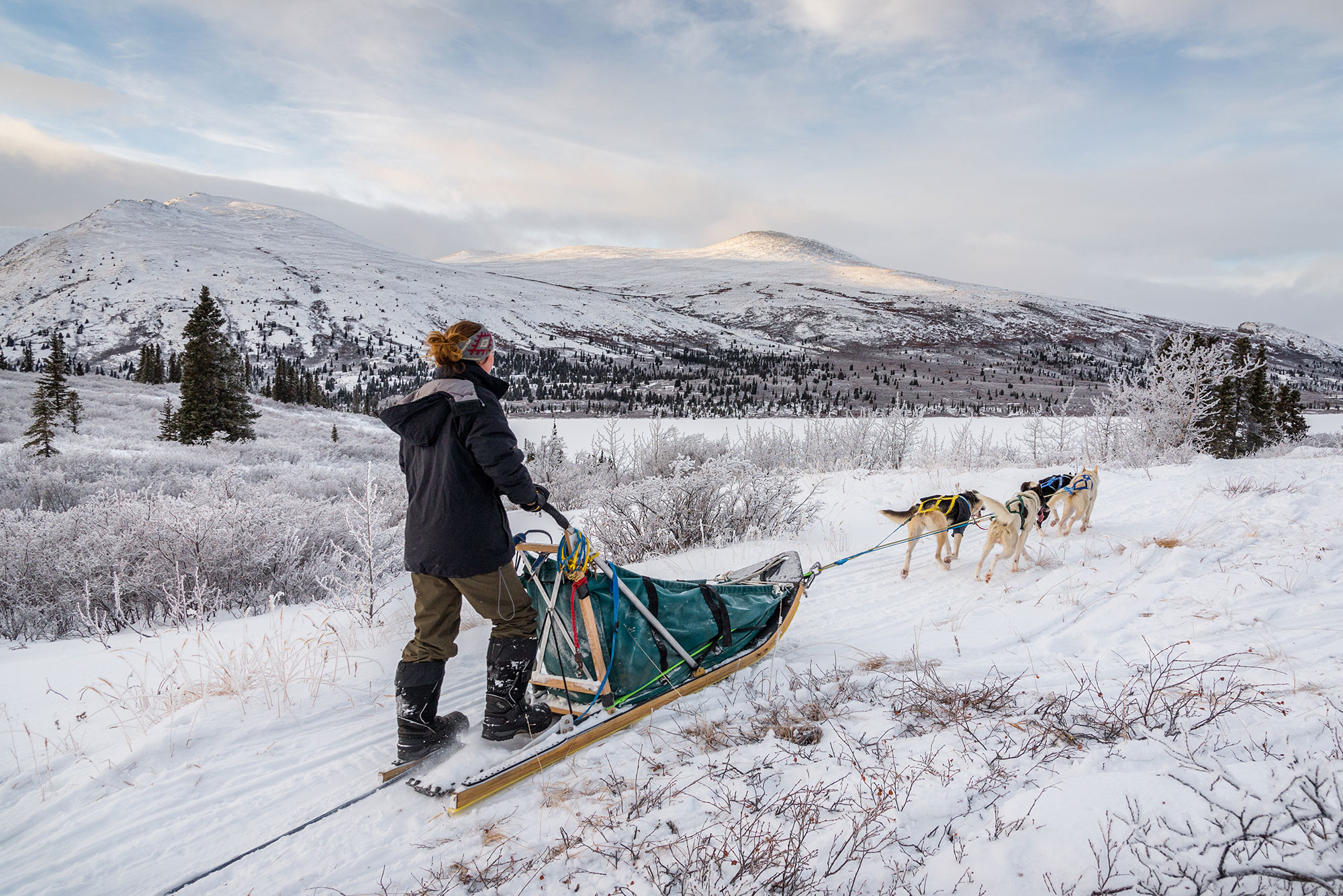 Discover Northern Sceneries