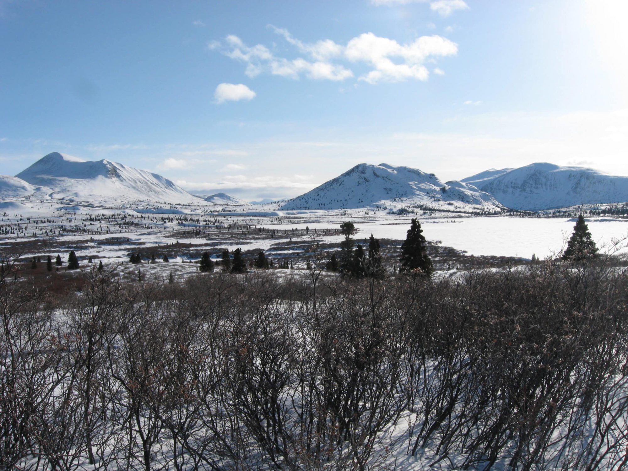 Discover Alligator Lake and Coal Lake valleys